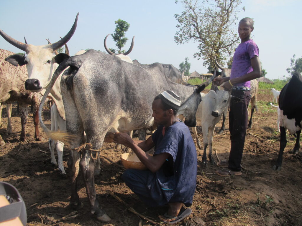 CARE, association humanitaire, aide les populations au Nigeria