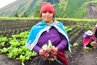 L'ONG CARE lutte contre le changement climatique en soutenant des agricultrices