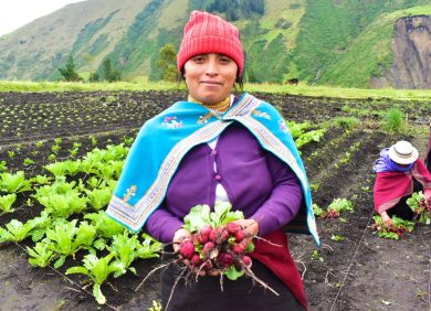 L'ONG CARE lutte contre le changement climatique en soutenant des agricultrices