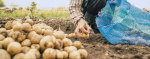 L'ONG CARE se mobilise contre la faim dans le monde.