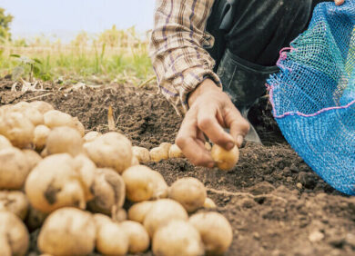 L'ONG CARE se mobilise contre la faim dans le monde.