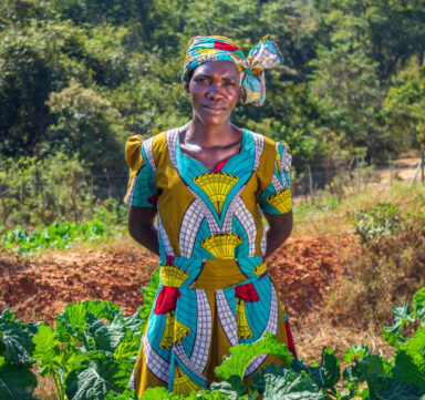 changement-climatique-afrique-cop29