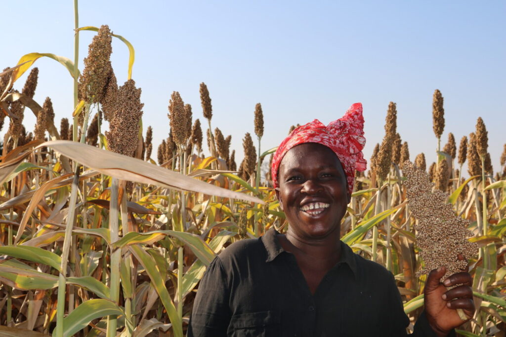 Une agricultrice dans son champ au Zimbabwe