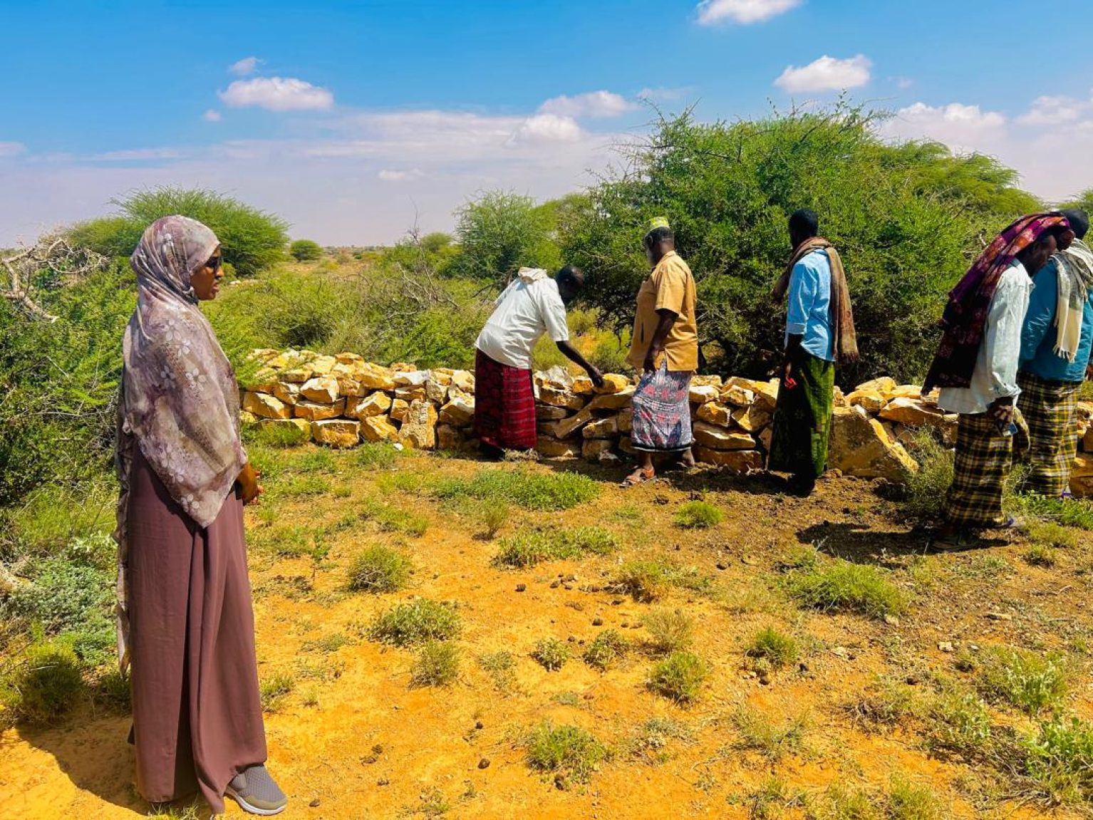 Des agricultrices et agriculteurs dans leur champ en Somalie