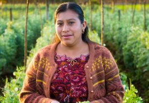 Une agricultrice dans son champ au Guatemala