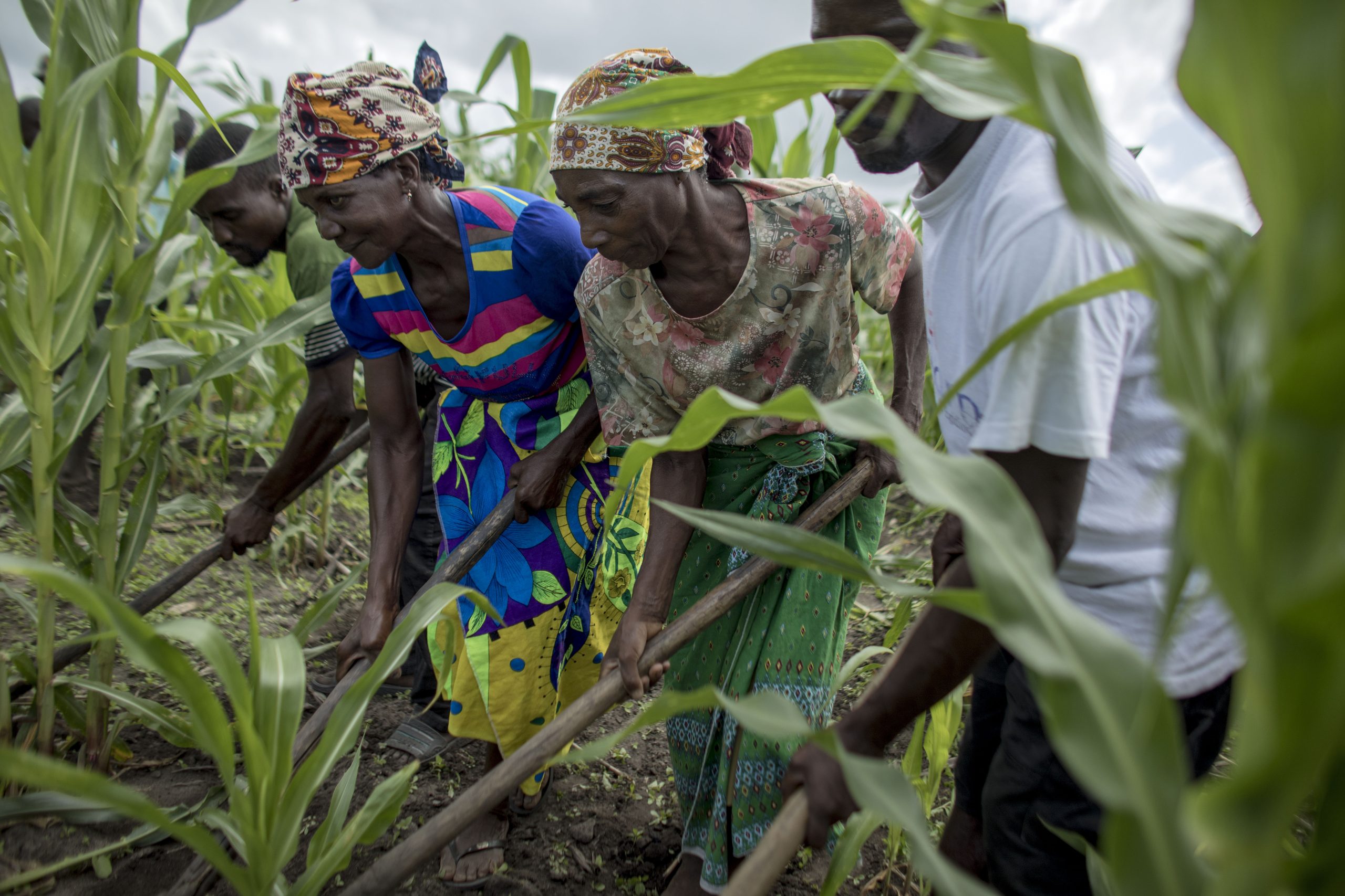 des agriculteurs et agricultrices labourent la terre dans un champ au Mozambique