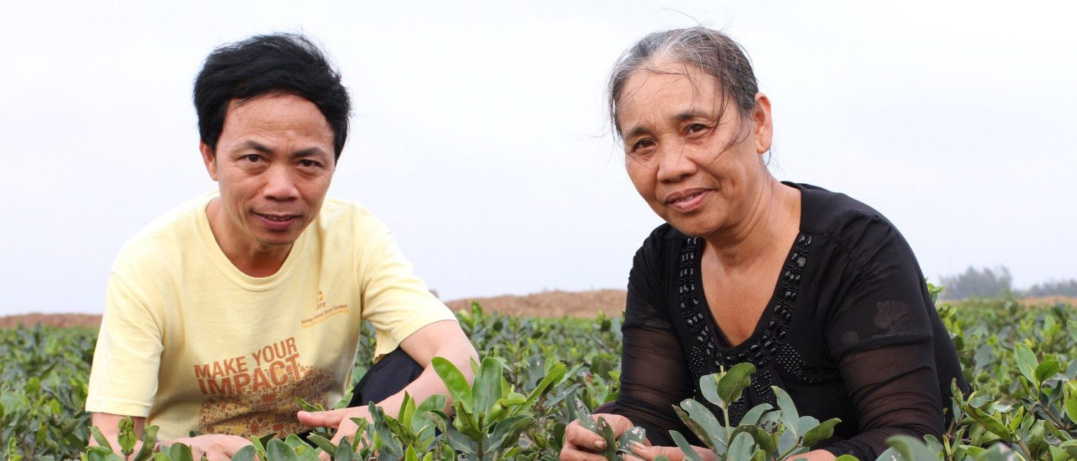 Un couple d'agriculteurs plante des mangroves au Vietnam