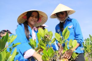 vietnam-mangroves-changement-climatique