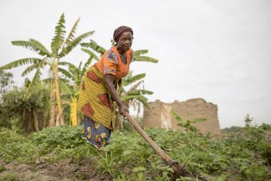 CARE lutte contre les conséquences du réchauffement climatique et permet à des familles de créer des potagers adaptés aux changements du climat dans leur région.
