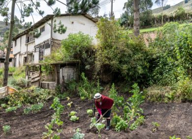 Des milliers d’agricultrices et d’agriculteurs dans le monde se rassemblent dans les écoles d’agroécologie créées par l’ONG CARE.