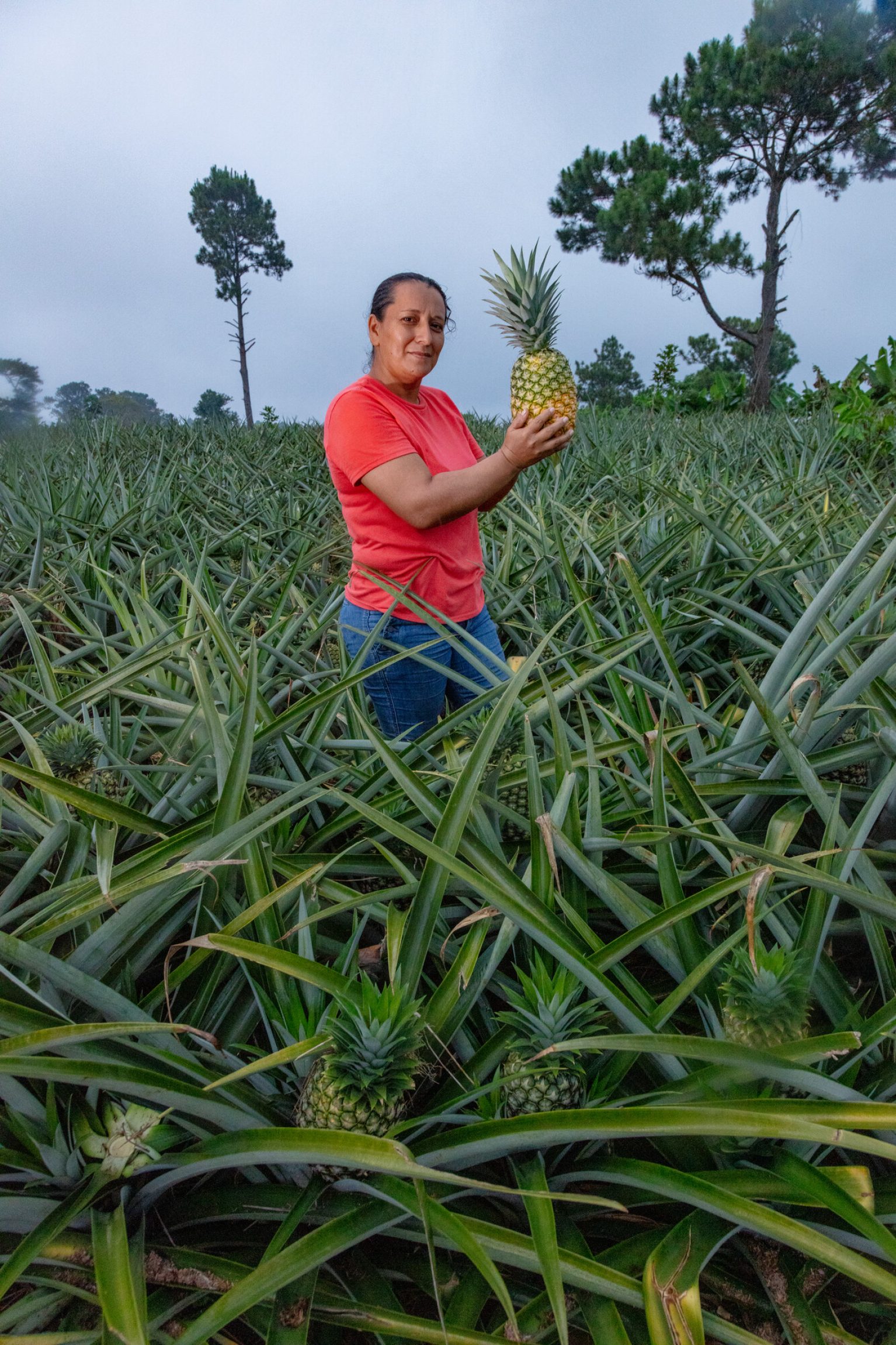 Soutenir le développement économique des femmes au Honduras