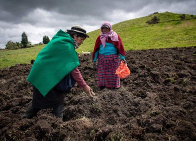 agricultrices en équateur