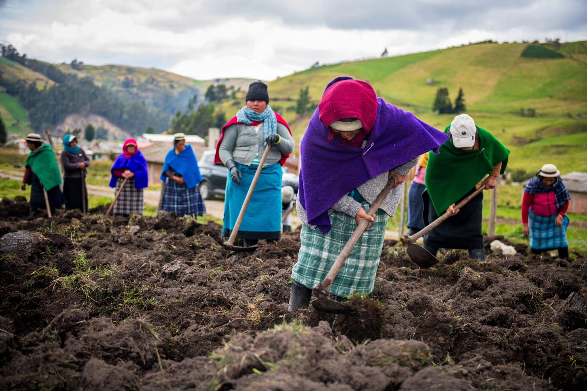 En équateur, les agricultrices autochtones protègent la biodiversité en cultivant de manière traditionnelle