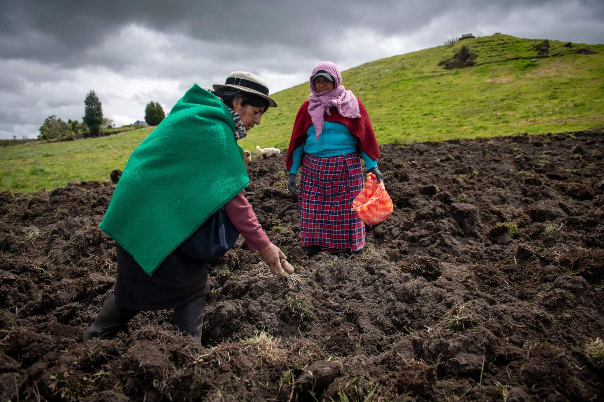 agricultrices en équateur