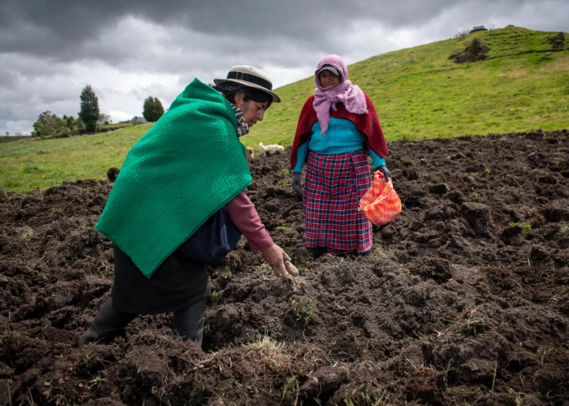 En Equateur, l'ONG CARE aide les femmes à transmettre leurs connaissances pour faire face aux changement climatique grace à une agriculture durable et respectueuse de l'environnement.