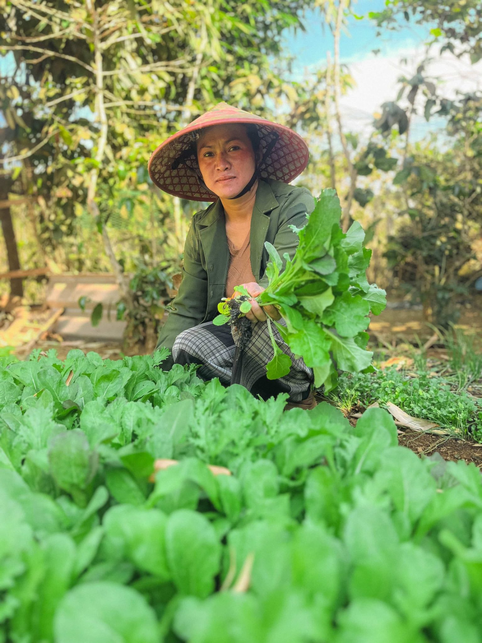 Agricultrice au Laos qui cultive la terre