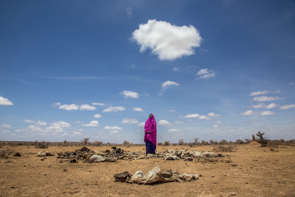 L'association CARE lutte contre le changement climatique