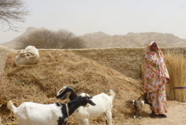 L’association CARE lutte contre le changement climatique au Tchad