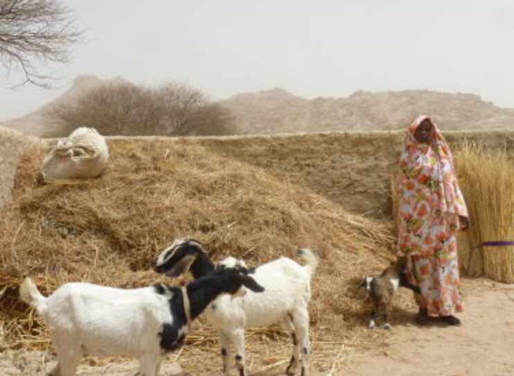 L’association CARE lutte contre le changement climatique au Tchad