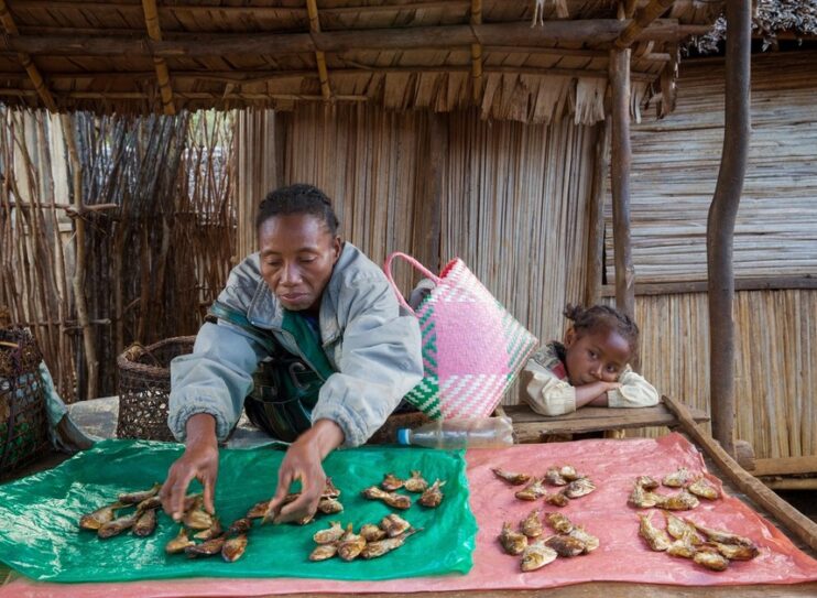 L’ONG CARE soutient le développement économique à Madagascar