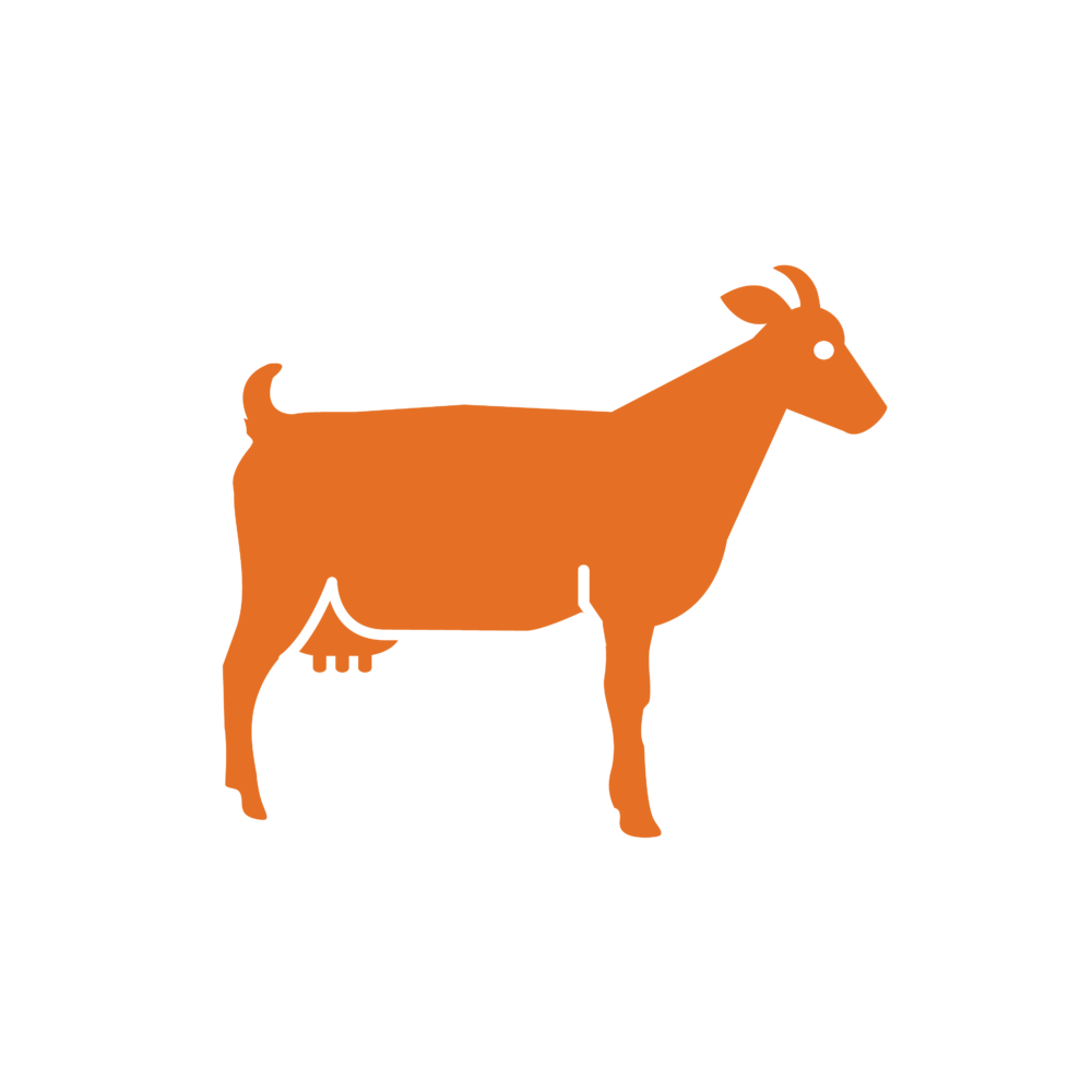 icone chèvre
