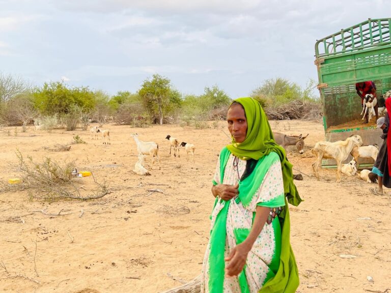 Faduma, éleveuse de chèvres, a perdu une partie de son troupeau du fait de la sécheresse en Somalie et a dû fuir pour trouver de quoi survivre