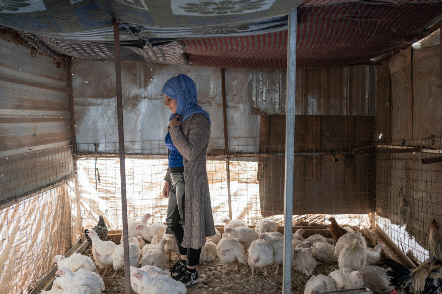 Une femme avec ses poules en Irak, pays où l'association CARE apporte une aide