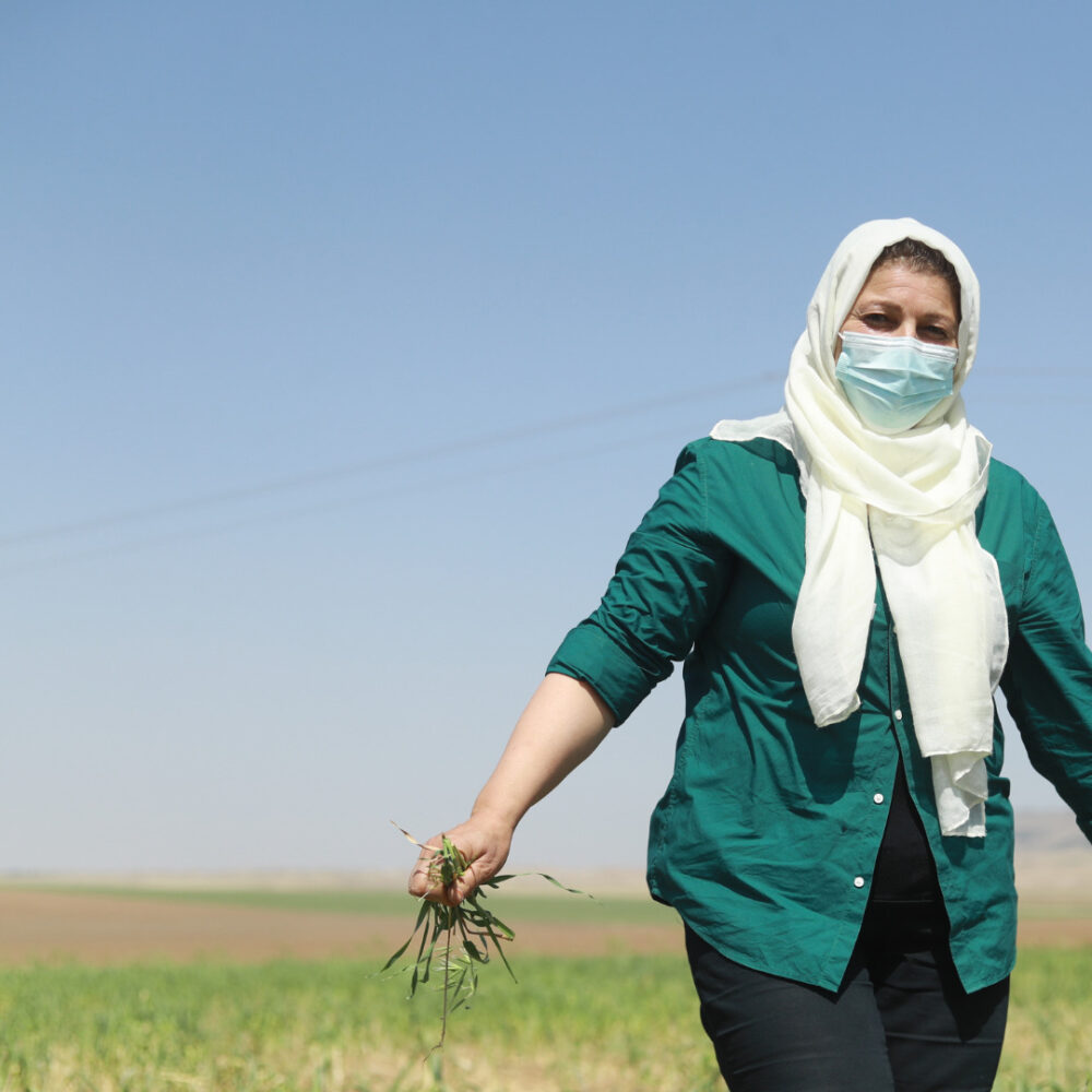 Une agricultrice soutenue par l'association CARE en Syrie