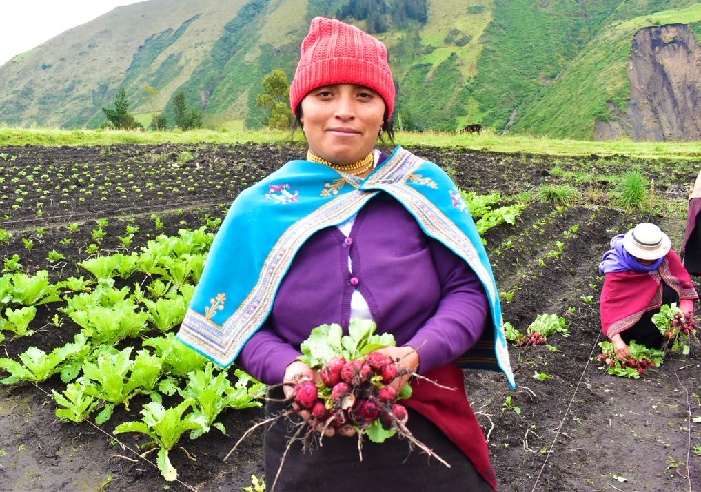 L'ONG CARE lutte contre le changement climatique en soutenant des agricultrices