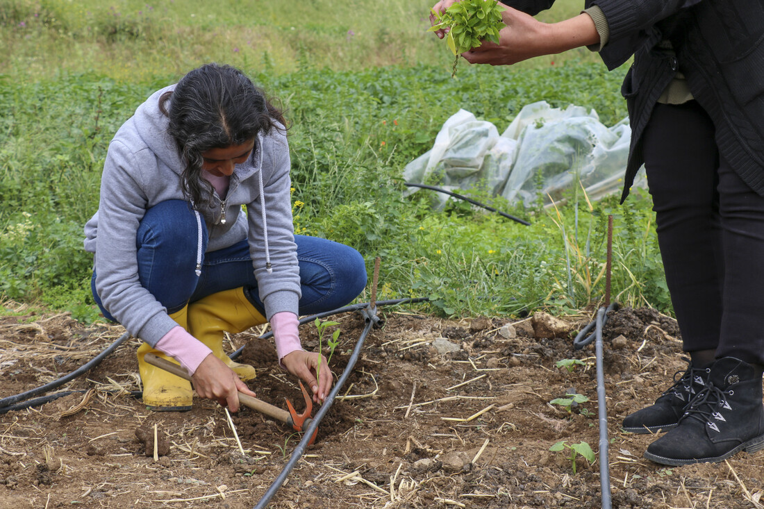 L'ONG CARE soutient les agricultrices comme Youmin au Liban.