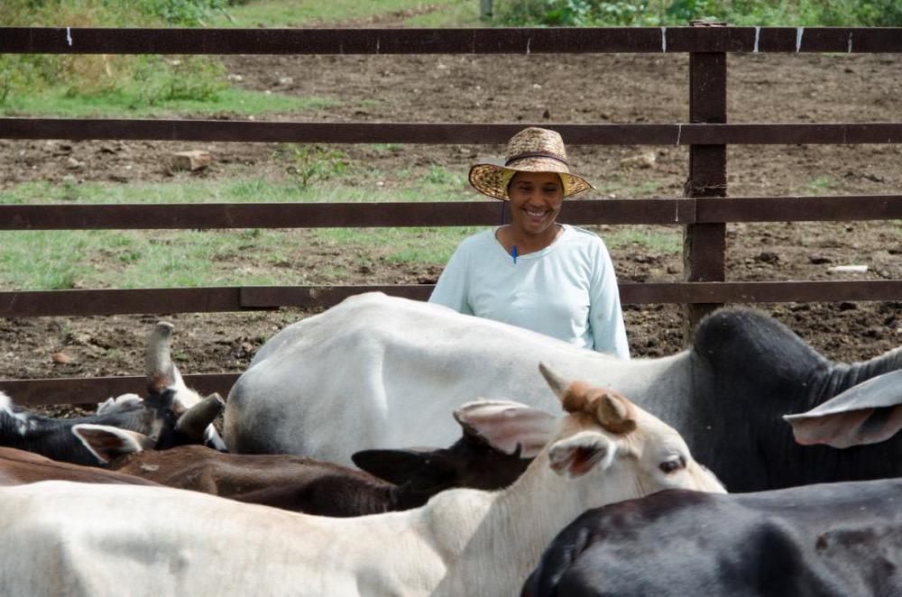 L'association CARE France aide les éleveurs à s'adpater au changement climatique
