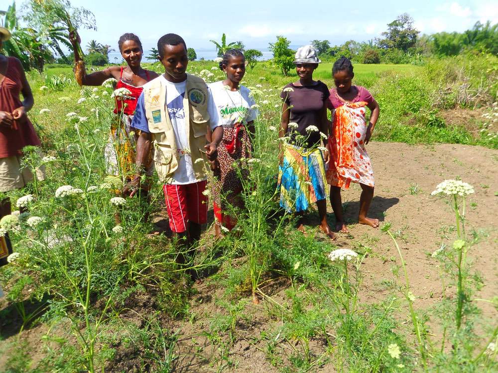 Madagascar - Jeanine, au centre, sur ses terres agricoles
