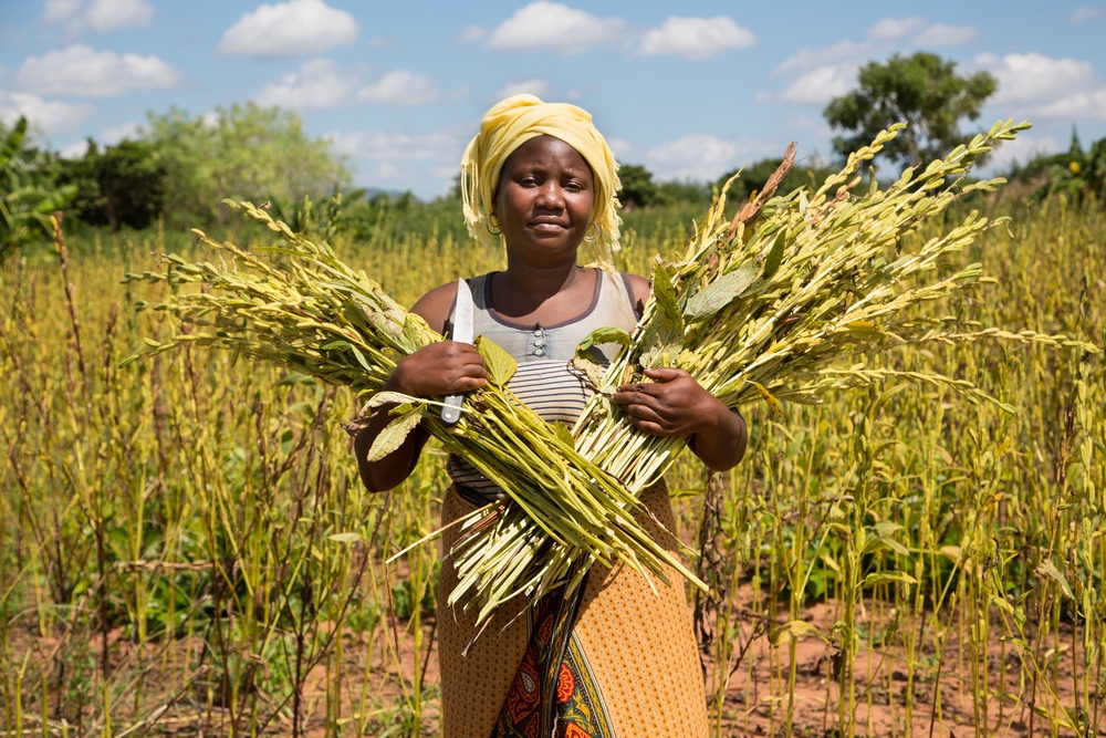 L'association CARE France soutient la condition des femmes dans l'agriculture