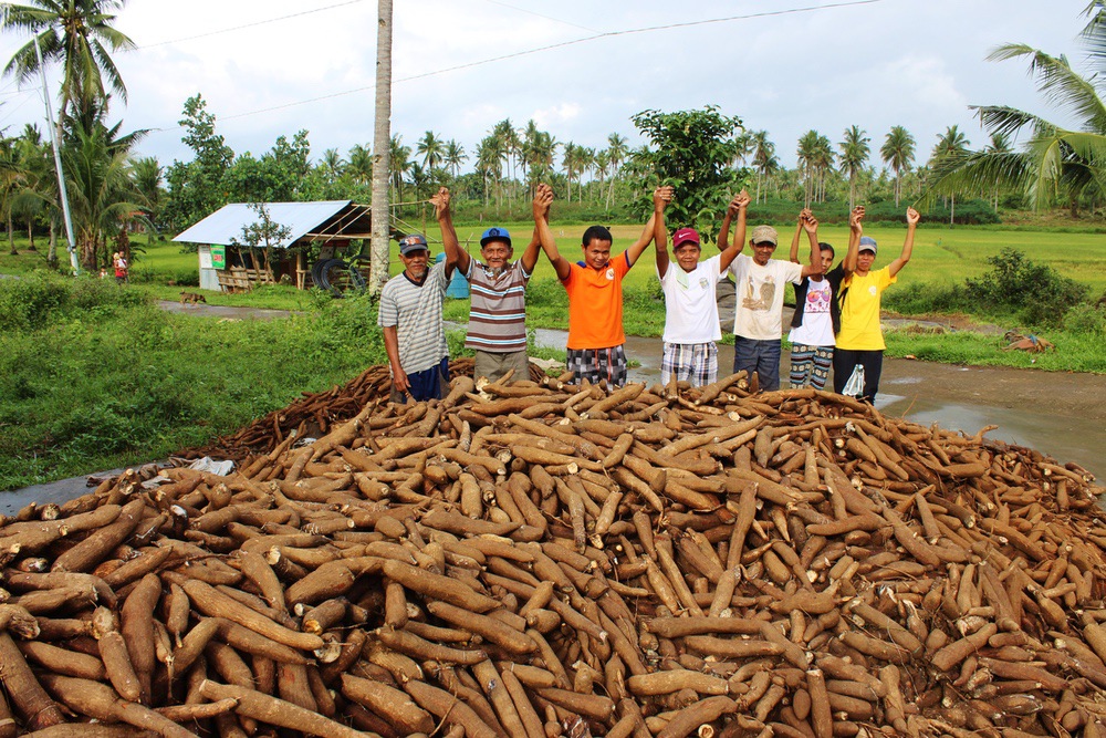 L'association CARE soutient les agriculteurs victimes du typhon Haiyan.