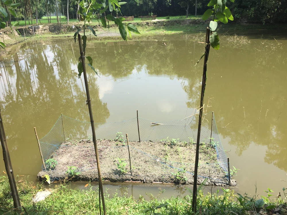 Les jardins flottants permettent de protéger les plantations des aléas climatique comme les inondations.