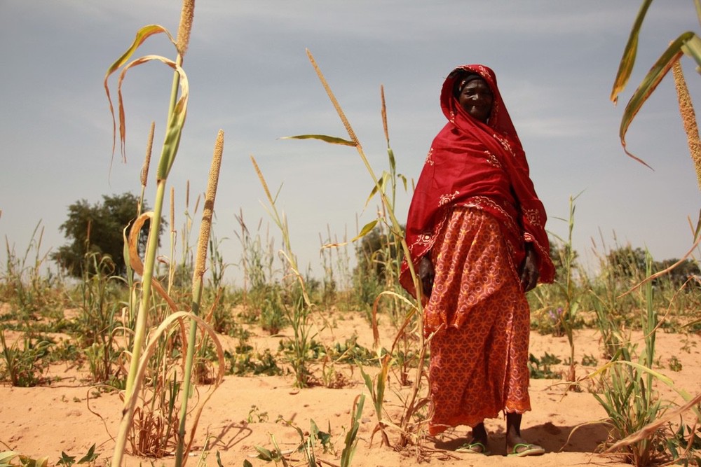 Dans de nombreux pays du monde, les femmes sont les premières victimes du changement climatique.