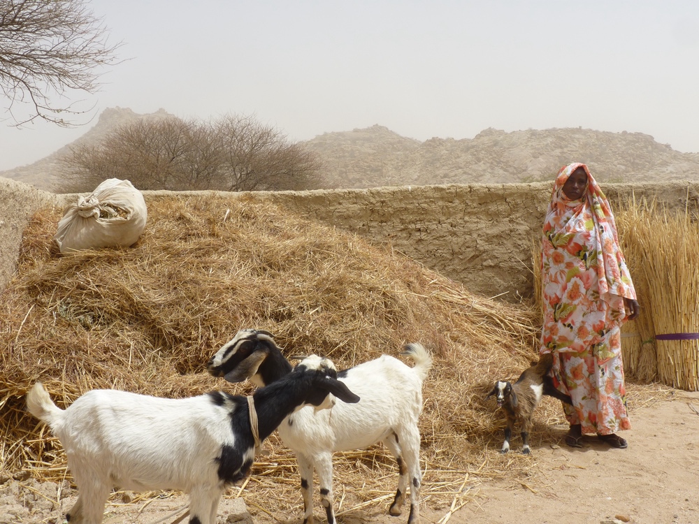 L'association CARE aide les populations du Tchad à faire face à la sécheresse